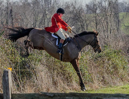 barry magner mburg photo crop