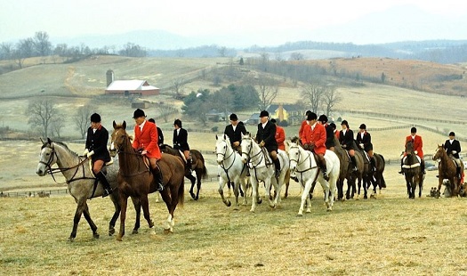 david semmes and field1