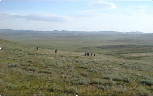 mongol derby.open country