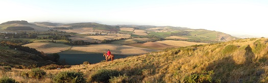 fife.laverack