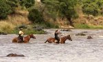 phoca_thumb_l_IMG_4916