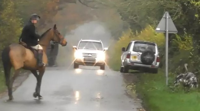 foxhunter and rhe