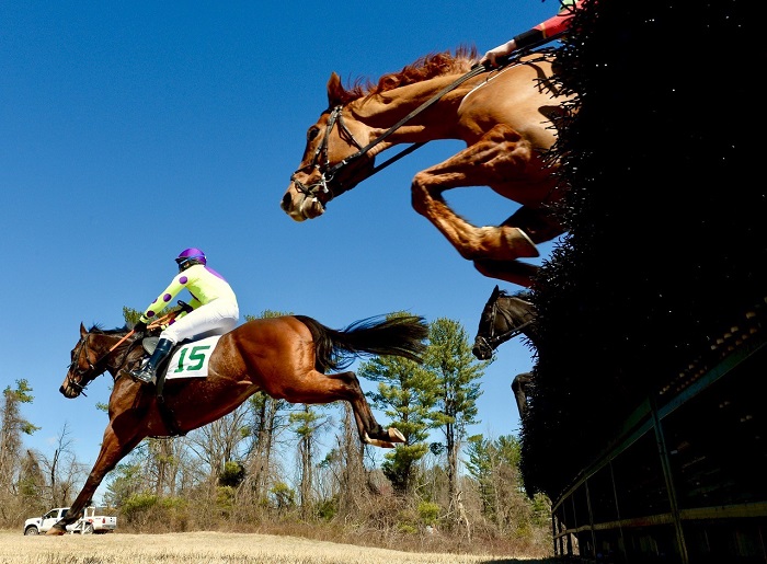 warrentonptp19.open hurdle.jpg