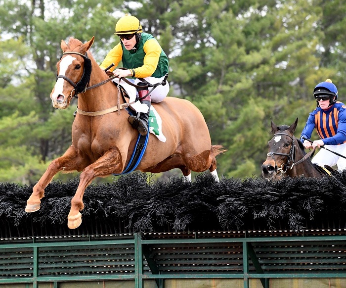 warrentonptp22.open hurdle